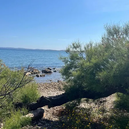 Charming Mobile With Pool In * Hyeres